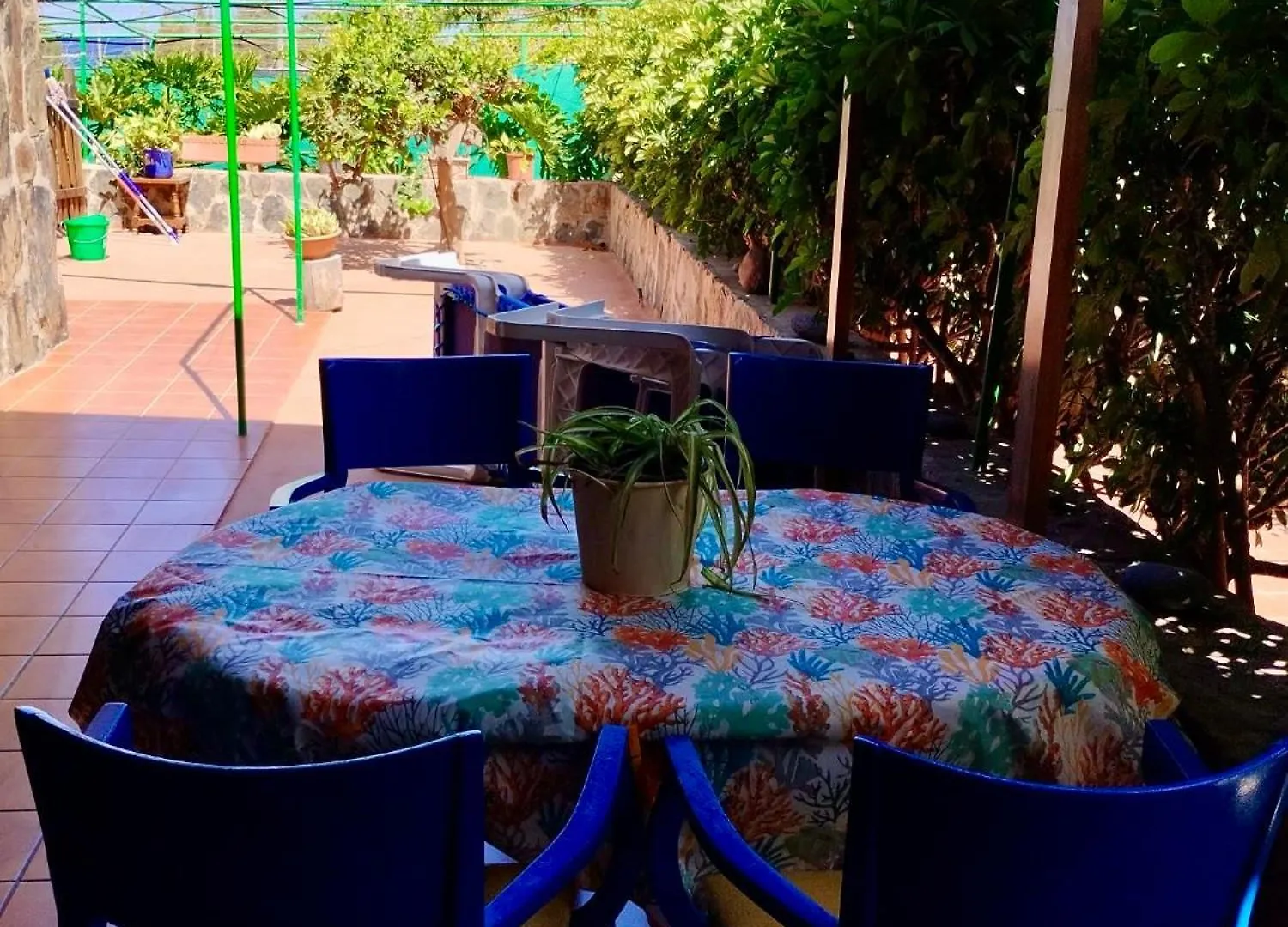 Apartaments Buen Leon Apartment Playa de Tasarte